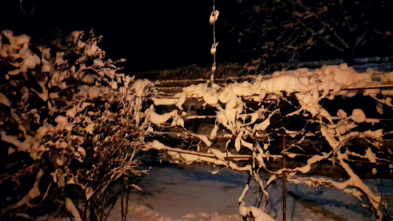 Borjomi Makvala'S Guest House Exterior foto