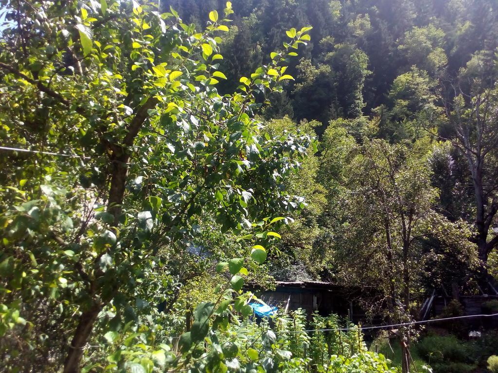 Borjomi Makvala'S Guest House Exterior foto