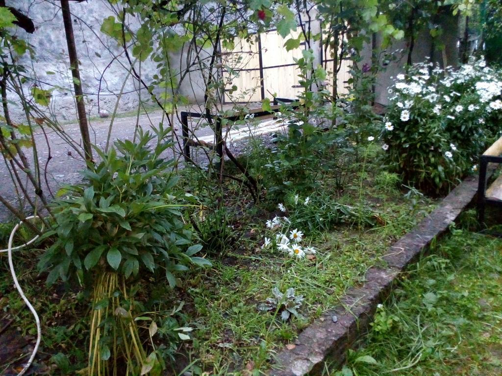 Borjomi Makvala'S Guest House Exterior foto