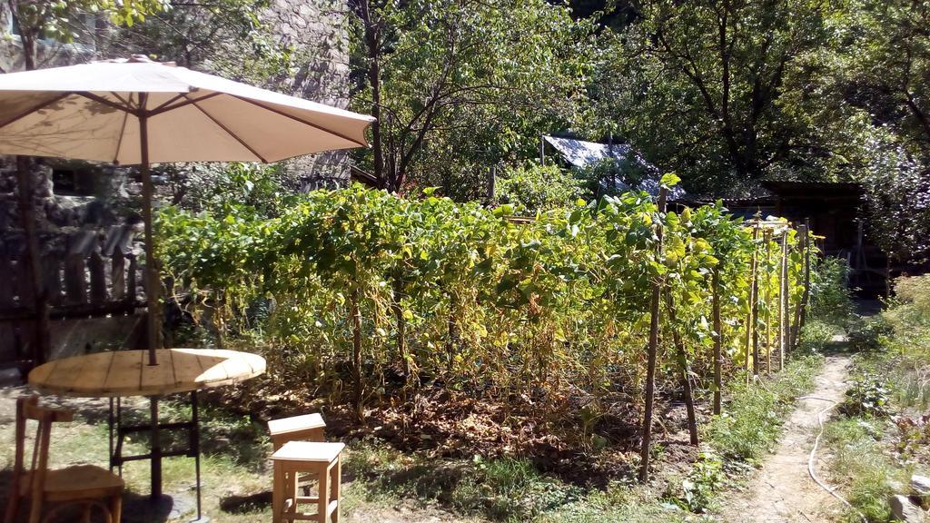 Borjomi Makvala'S Guest House Exterior foto