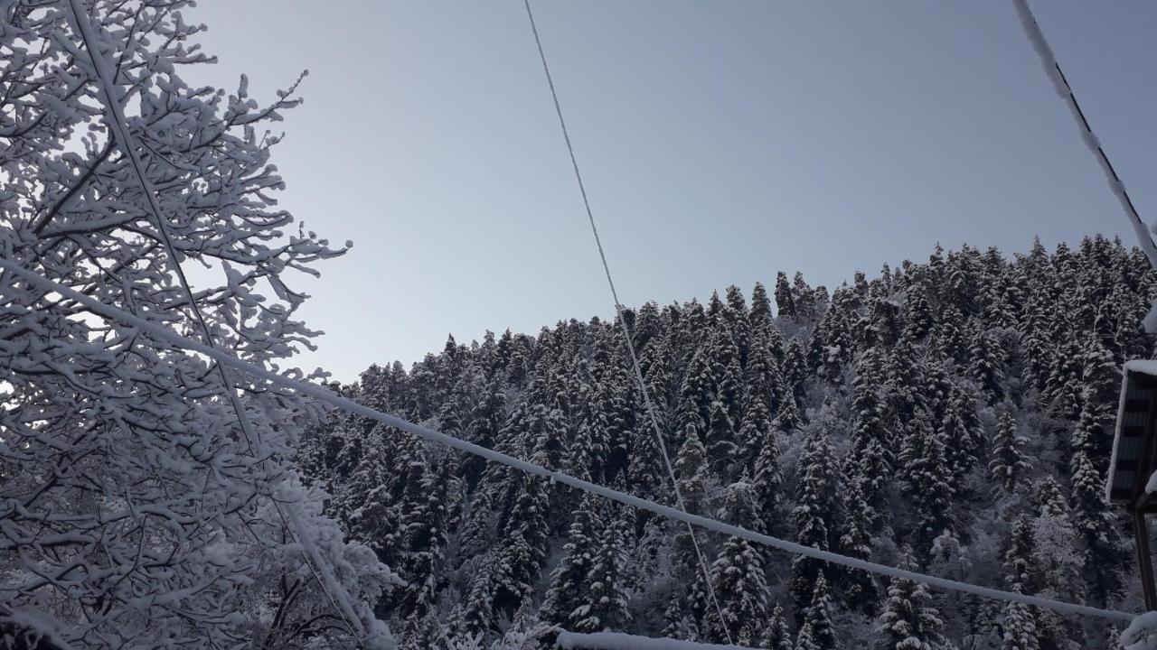 Borjomi Makvala'S Guest House Exterior foto